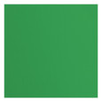 Papir, s teksturo, holly green