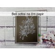 Beli odtisi na črn papir 
