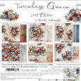 Papir, Timeless Grace