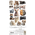 Papir, Cats