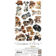 Papir, Dogs