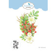 Rezalna šablona, Floral Greenery 1