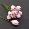 Tulipani, roza