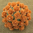 Odprte vrtnice, barva mandarine 