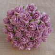 Odprte vrtnice, rose roza
