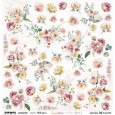 Paper, Sunny Blooms, Flowers 2