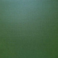 Papir, pearl s teksturo, dark green
