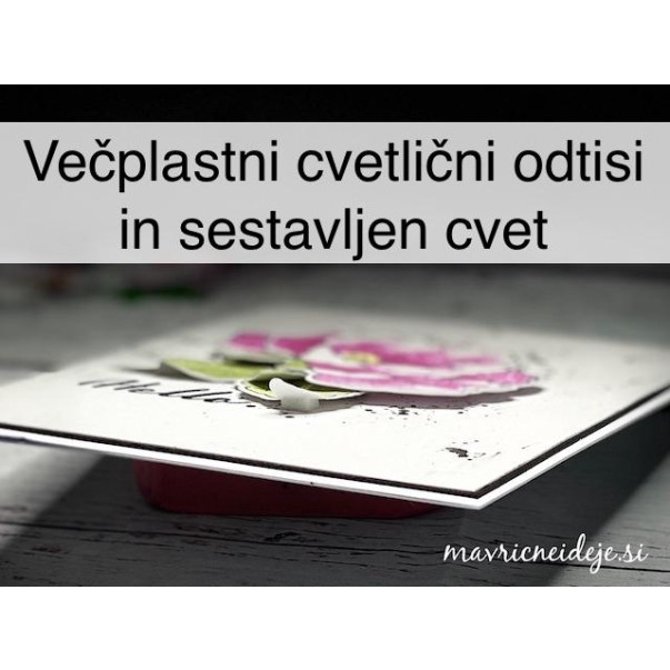 Večbarvni cvetlični odtisi in sestavljen cvet 