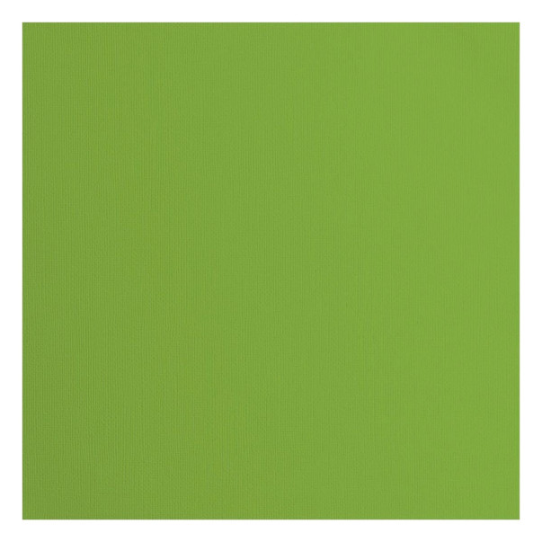 Papir, s teksturo, frog