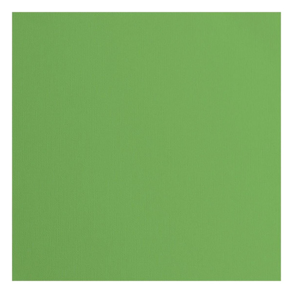 Papir, s teksturo, moss