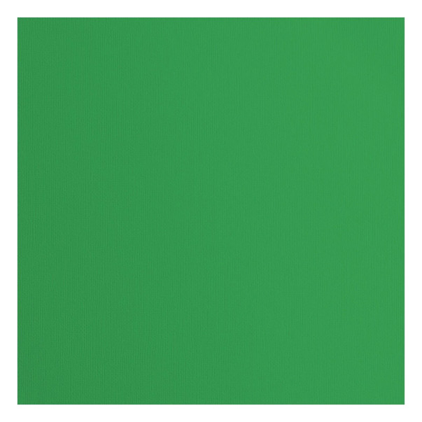 Papir, s teksturo, holly green
