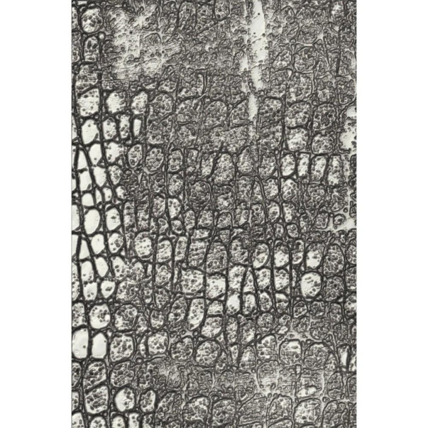 Mapa za embosiranje, 3D Texture Fades, Reptile