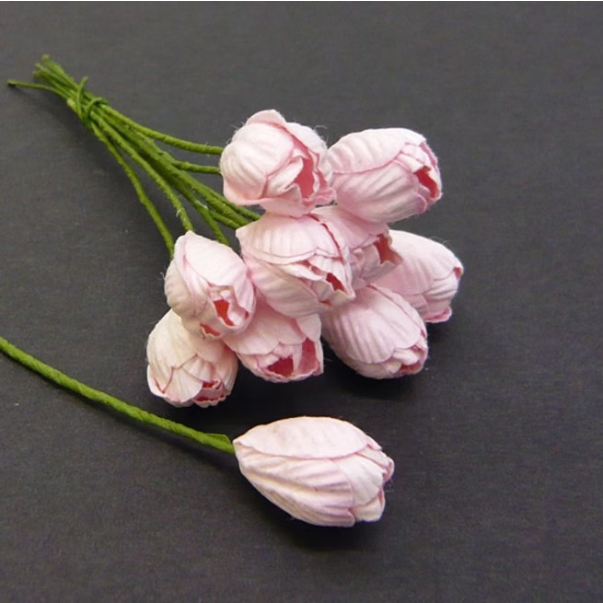 Tulipani, roza