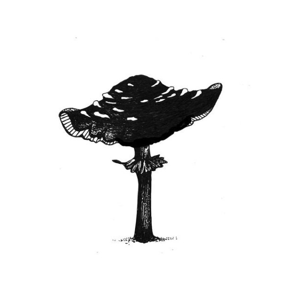 Štampiljka, Toadstool mini