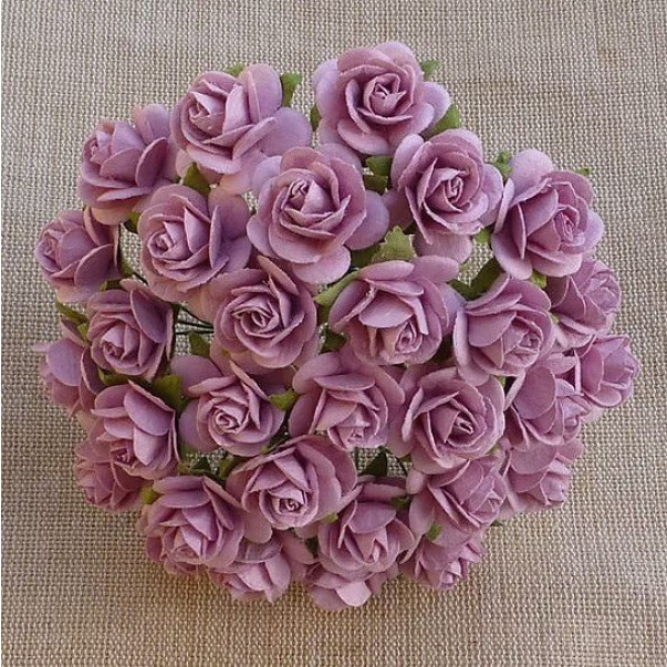 Odprte vrtnice, rose roza