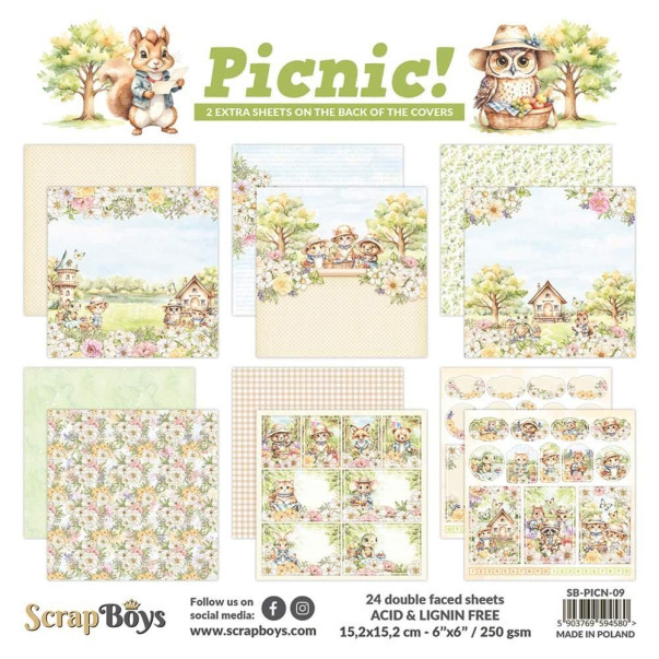 Papir, Picnic