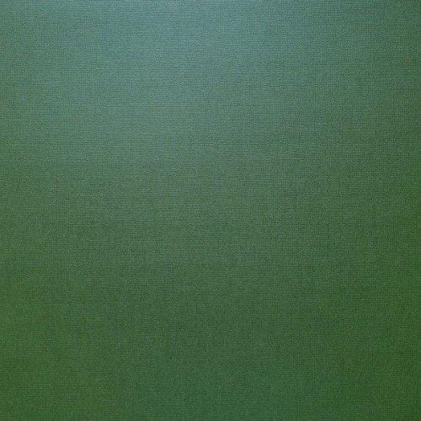 Papir, pearl s teksturo, dark green