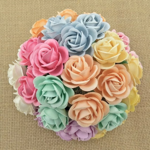 Chelsea vrtnice, mix pastelne