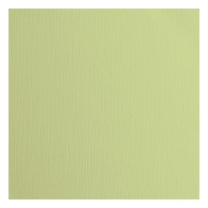 Papir, s teksturo, anise