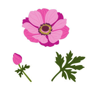 Rezalna šablona, Lovely Layers: Anemone - Honey Cuts