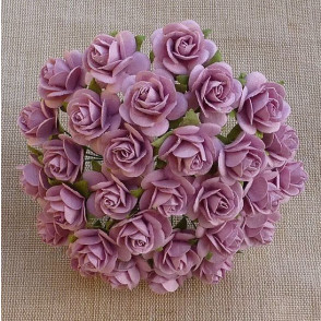 Odprte vrtnice, rose roza