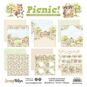 Papir, Picnic