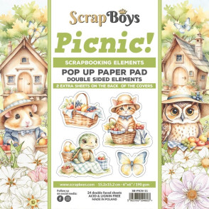 Papir, Picnic