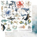 Papir, Ocean Blue, Extras 11